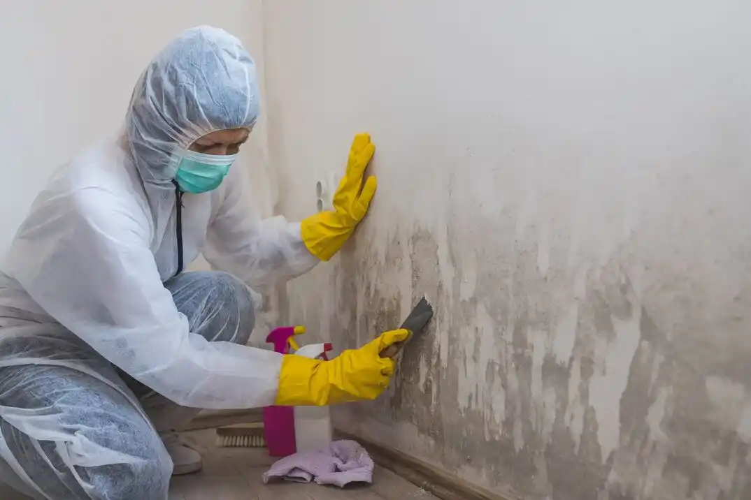 water damage restoration service Bolindale